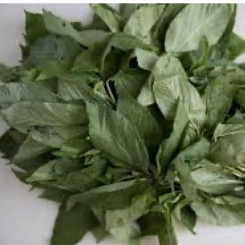 KlemKle (Mulukhiyah)