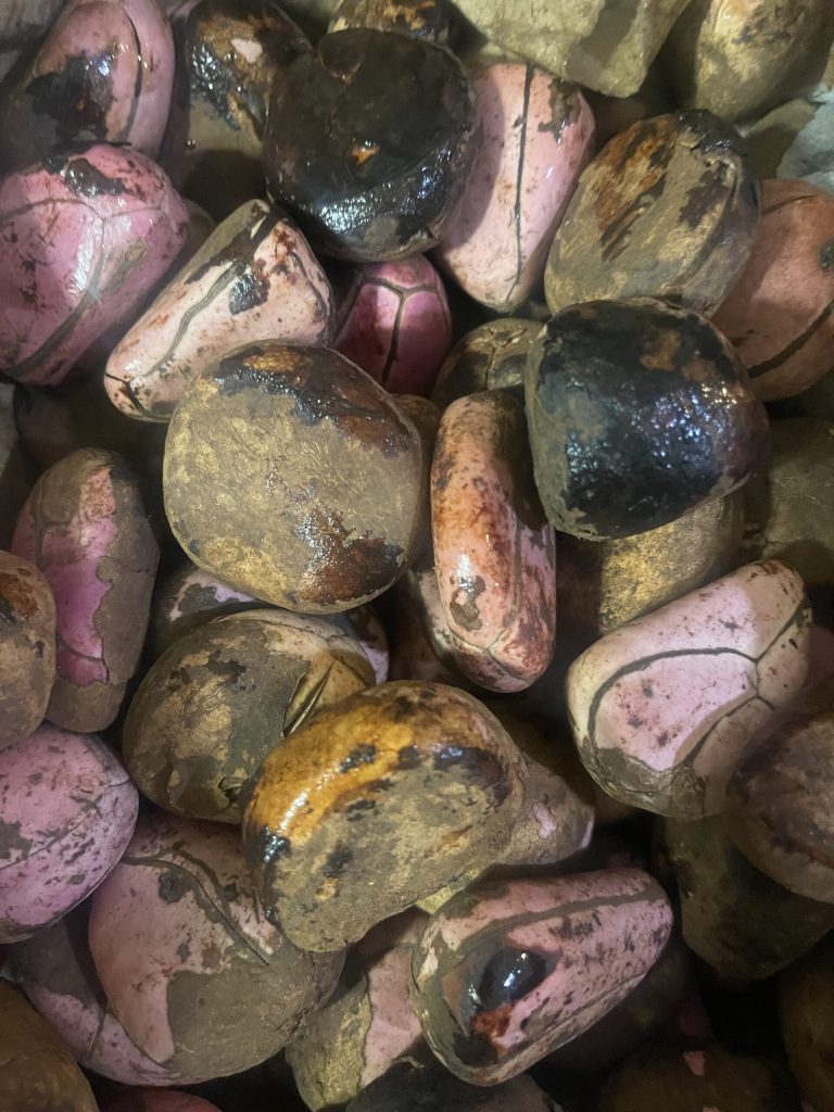 Igbo Kolanut 5/$10.00