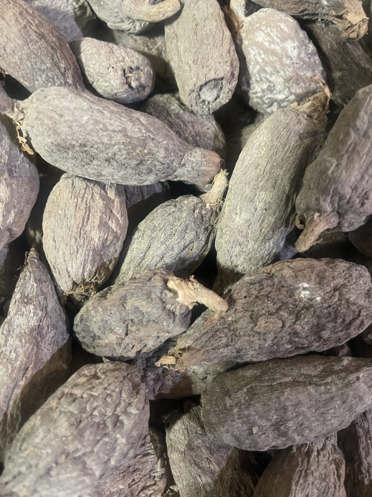 Alligator Pepper 1pocket/$1.00